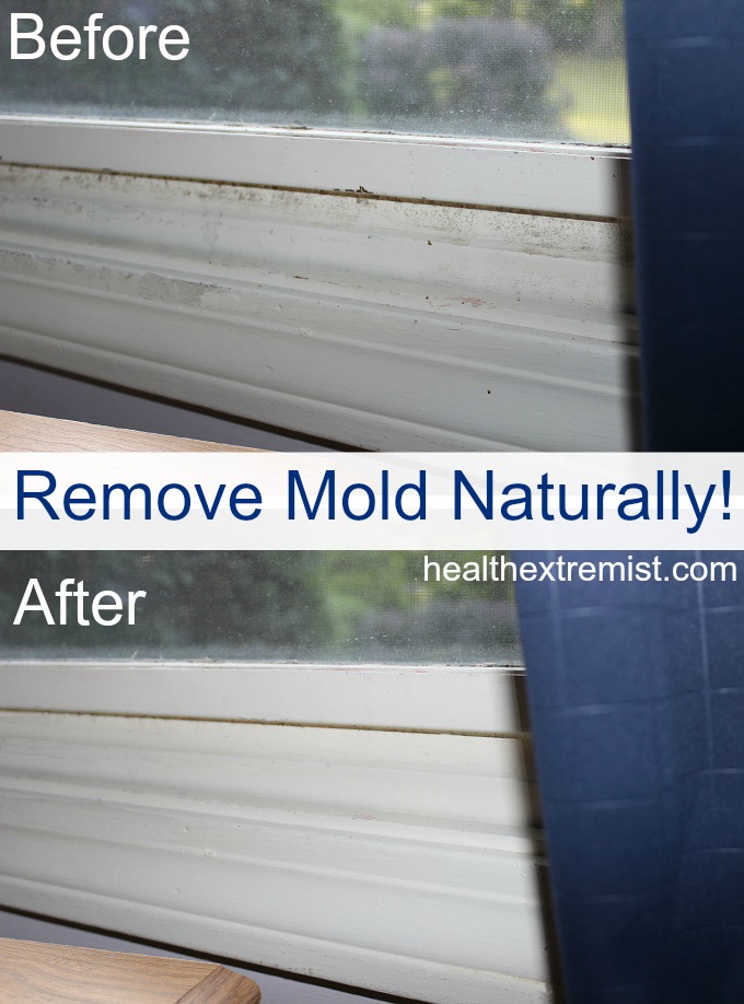 How do you remove mold from carpet?